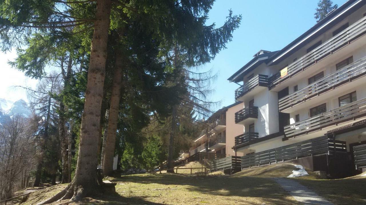 Appartement Casa Cinque Funghi A Folgarida Extérieur photo